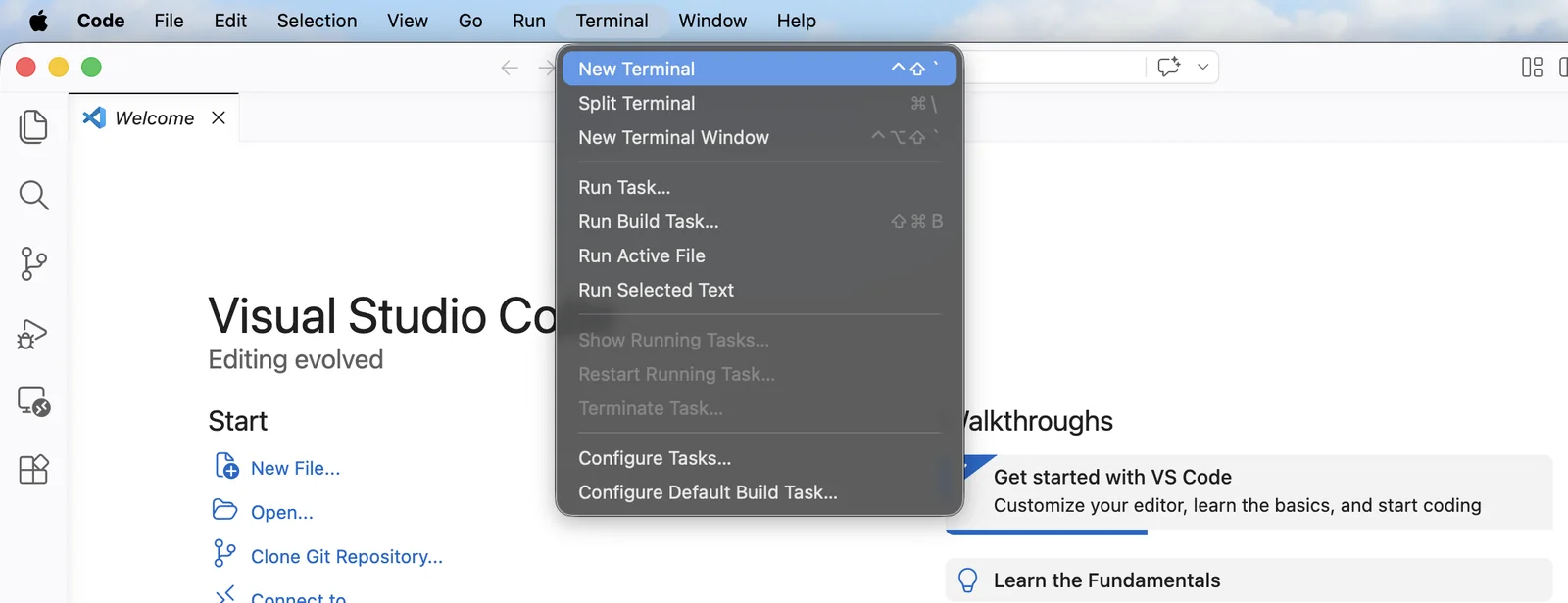 New Terminal
